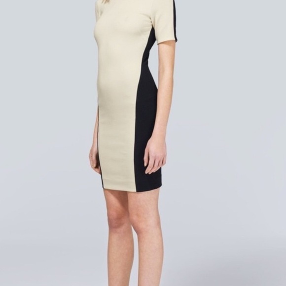 ⭐️HP⭐️ Aritzia  Bodycon dress- small - Picture 2 of 12
